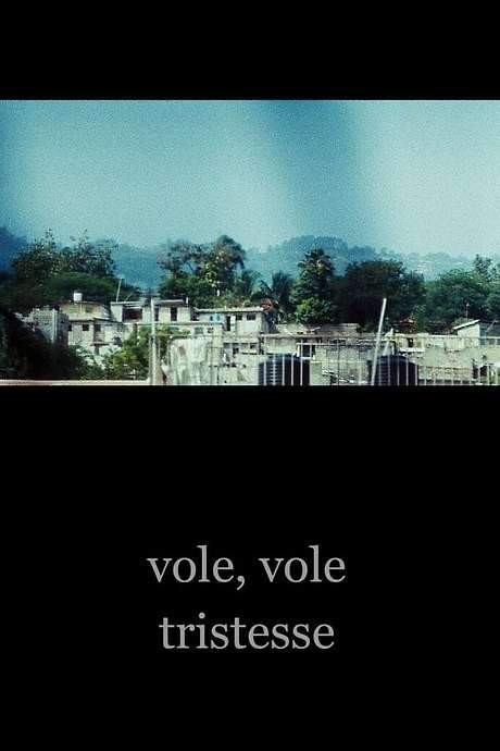 Following a nuclear explosion, the voices of everyone on a remote island are altered. A Finnish journalist travels to the island, seeking a hermit believed to possess unusual abilities who may hold the key to understanding the strange phenomenon and its effects on the community.
